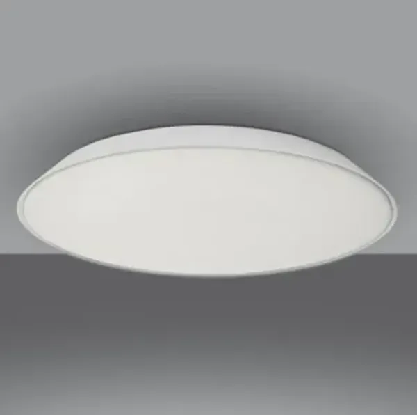 Febe Wall / Ceiling Light