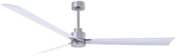 Alessandra Ceiling Fan