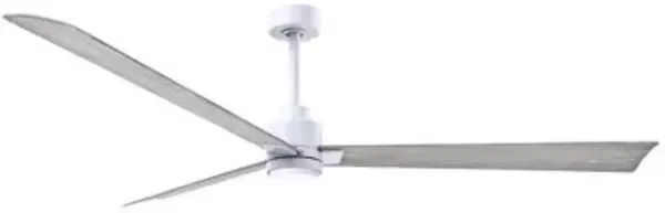 Alessandra LED Ceiling Fan