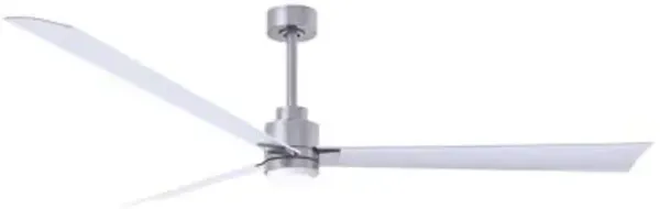Alessandra LED Ceiling Fan