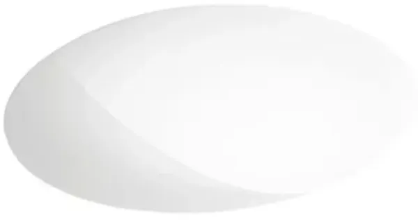 Nelly Wall / Flushmount