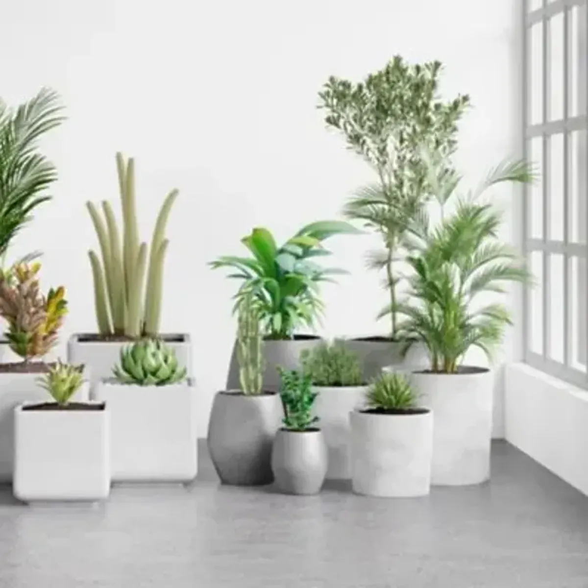 Durban Outdoor Planter