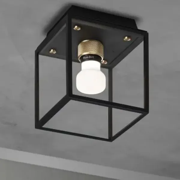 Caged Wet Outdoor Flushmount