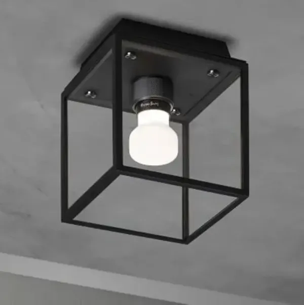 Caged Wet Outdoor Flushmount