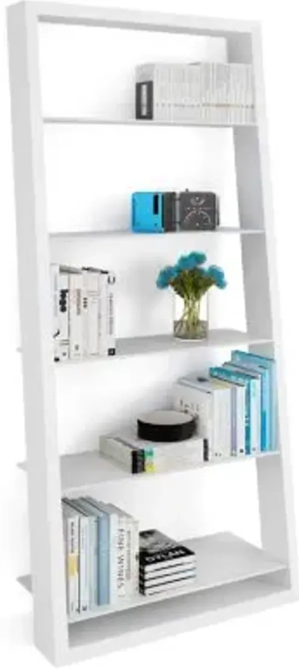 Eileen Blanc Shelf