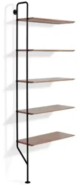 Walnut /  Powder Coated- Black Finish color