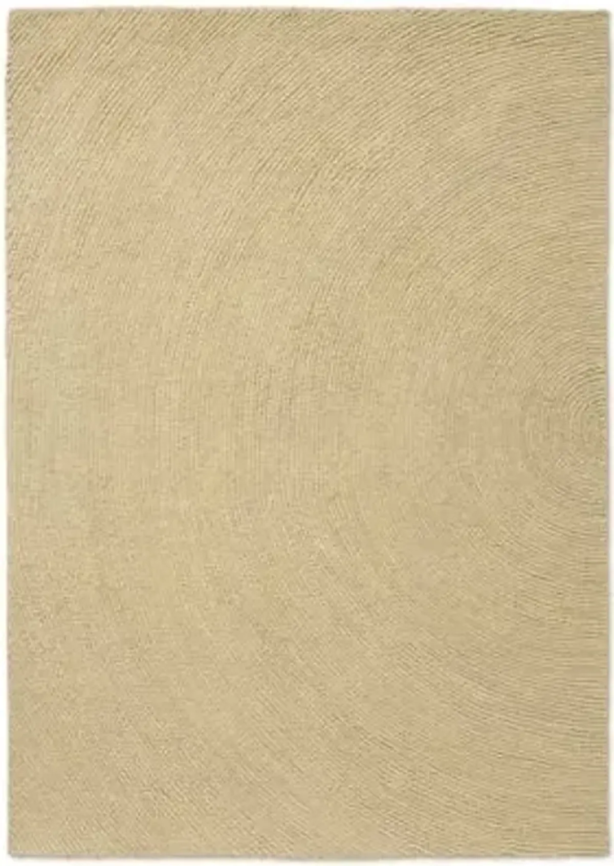 Decor Echo Area Rug