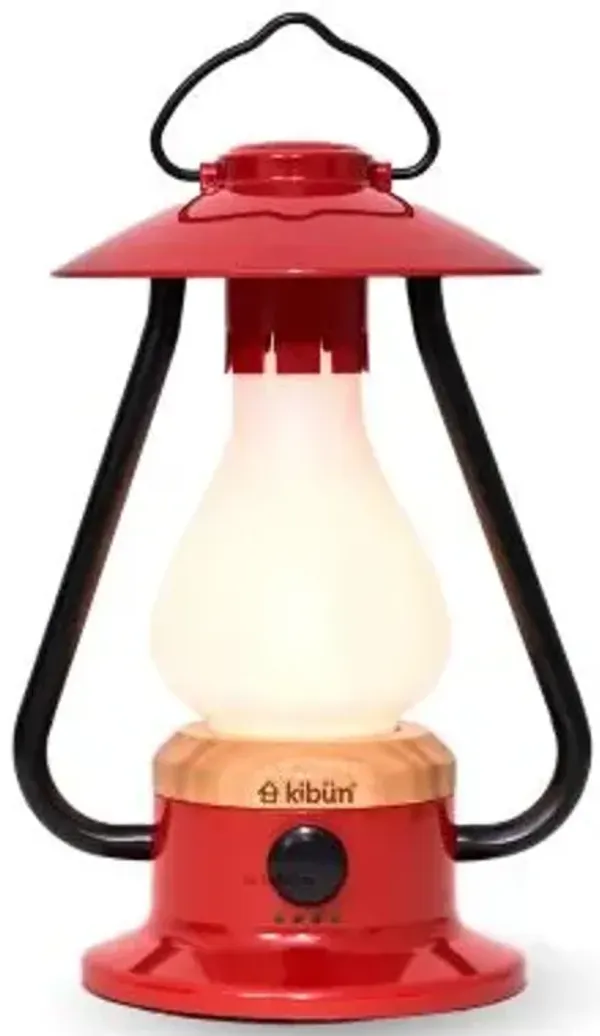 Bonfire Cordless Outdoor Rechargeable LED Table Lamp