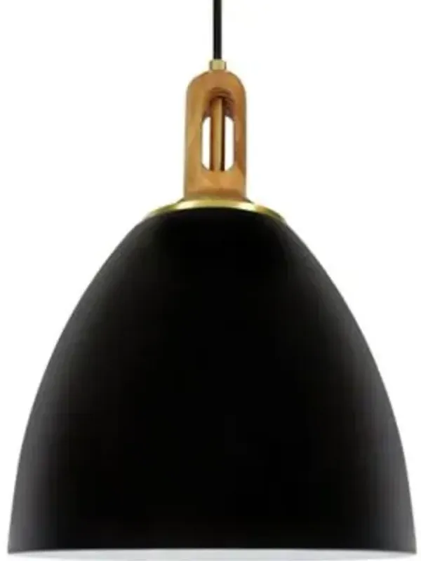 Wood Handle Glass Pendant