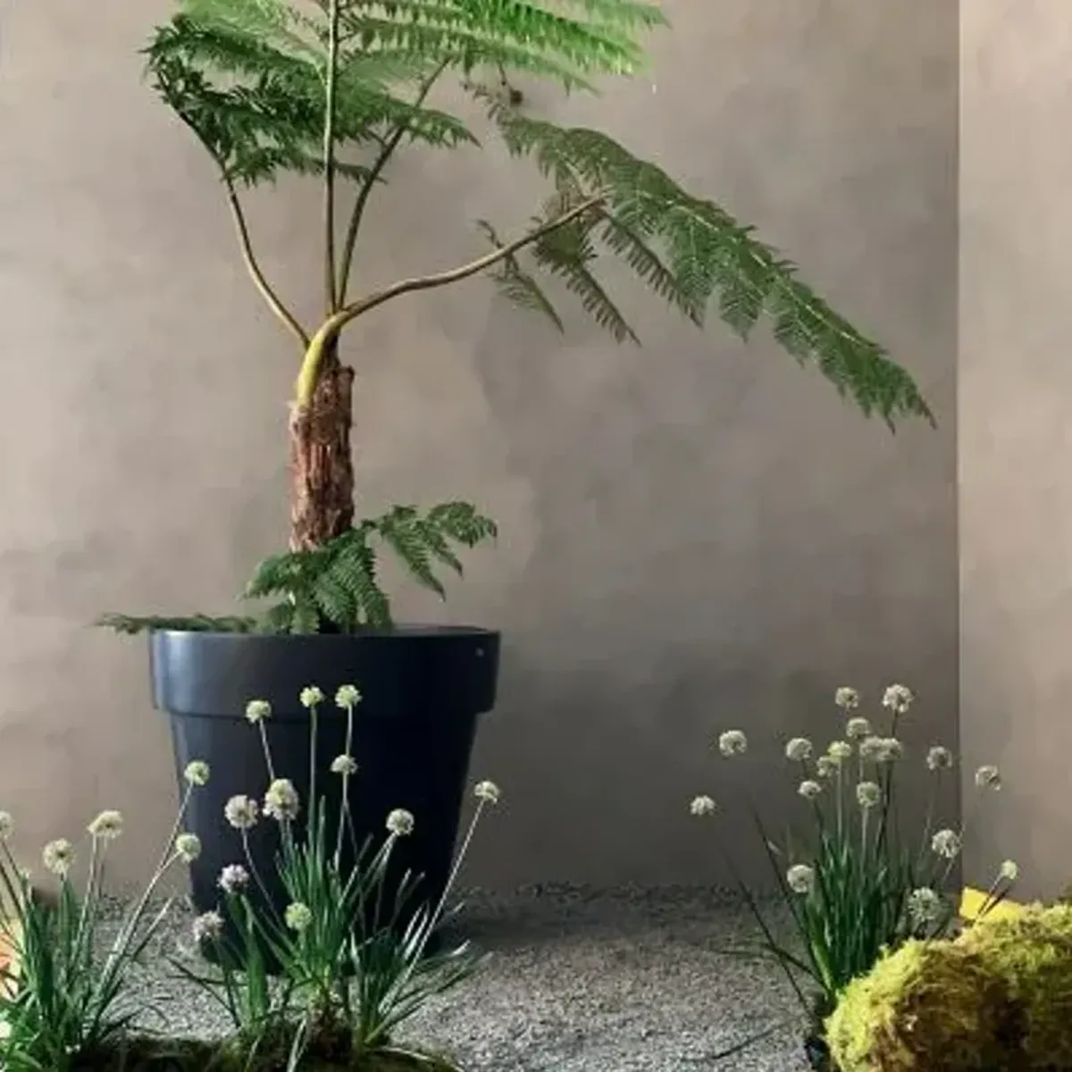 Classic 50 Planter