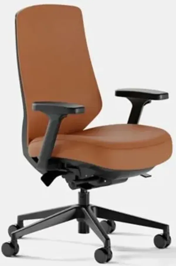 Ergonomic Task Chair Pro