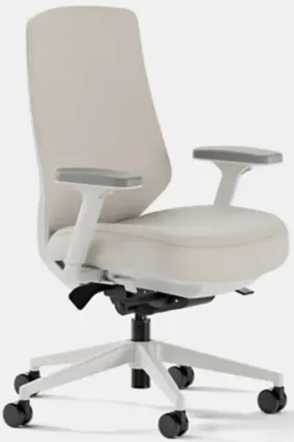 Ergonomic Task Chair Pro