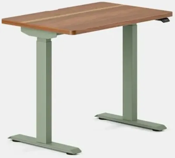 Duo Standing Desk