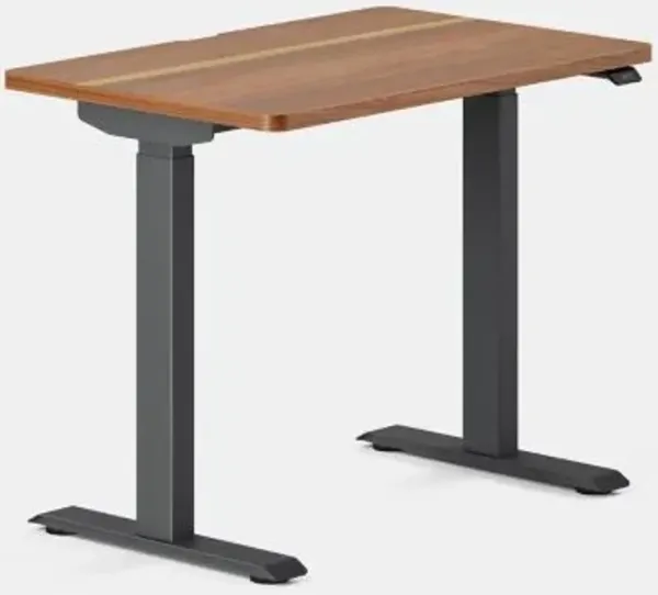 Duo Standing Desk