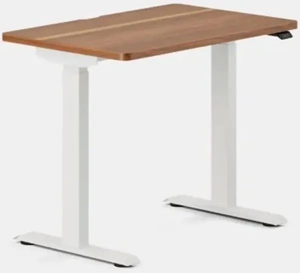 Duo Standing Desk