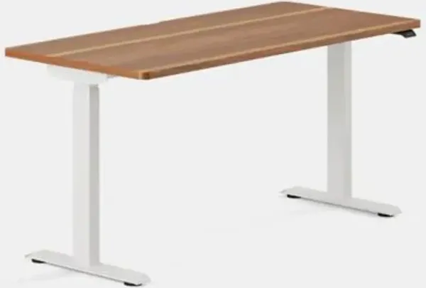 Duo Standing Desk