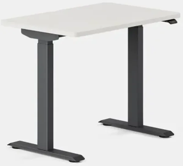 Duo Standing Desk