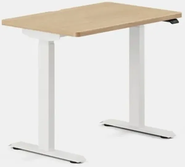 Duo Standing Desk
