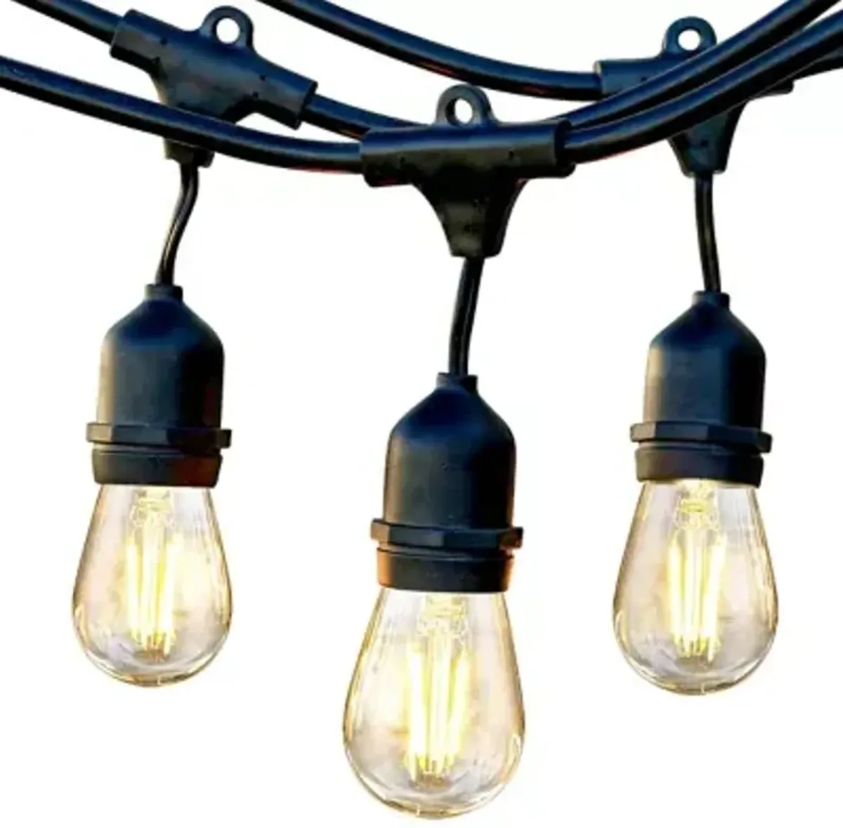 Renel Hanging Bulb Outdoor String Light