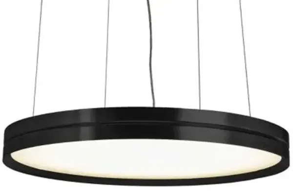 Lite Hole LED Pendant