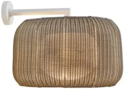 Graphite Brown With Brown color