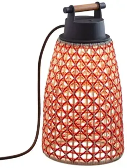 Graphite Brown With Red Shade color