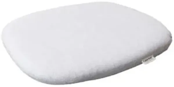 Peacock Seat Cushion for Chair