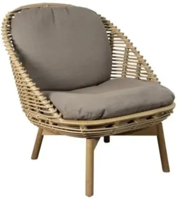 Hive Lounge Chair With Teak Legs