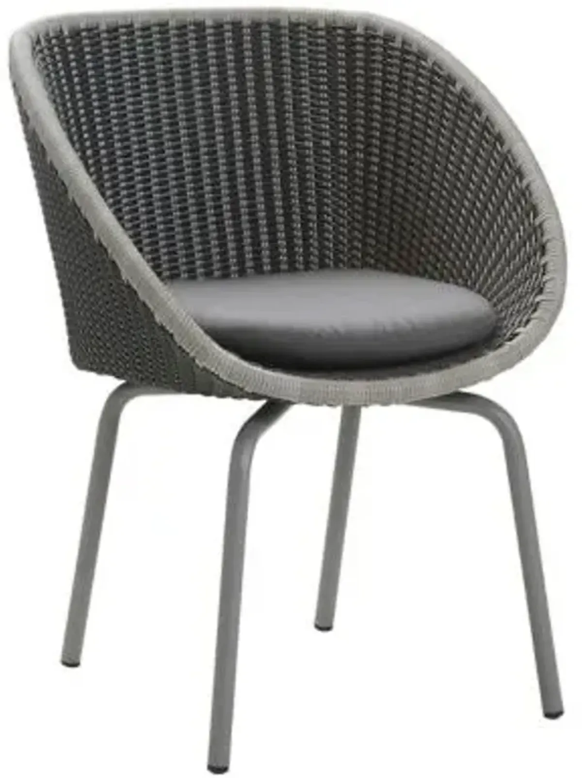 Peacock Seat Cushion for Chair