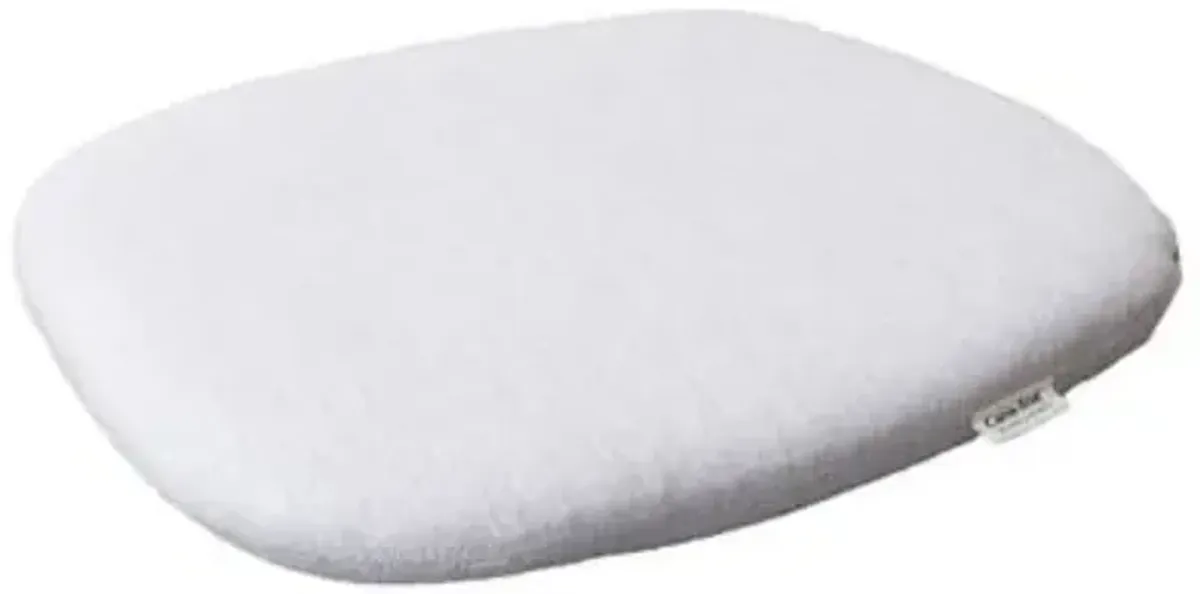 Peacock Seat Cushion for Chair