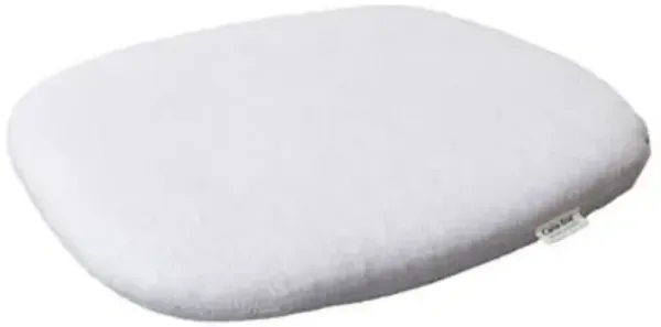 Peacock Seat Cushion for Chair