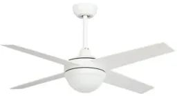 Gold With Black color