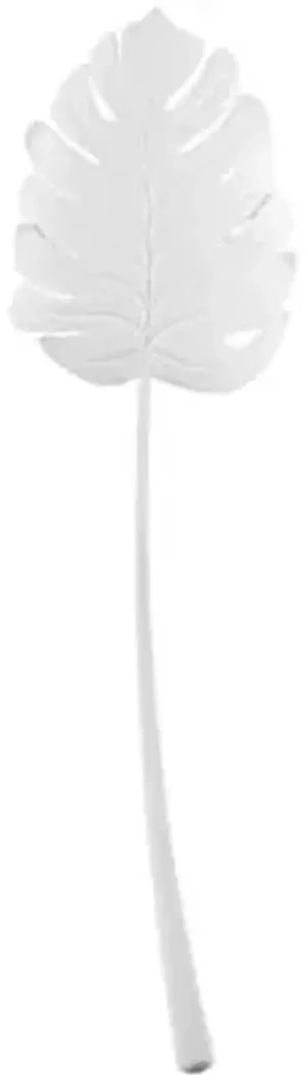 Seychelles Wall Sconce