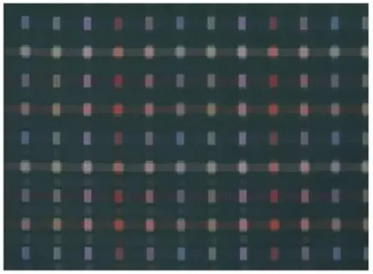Sampler Rug