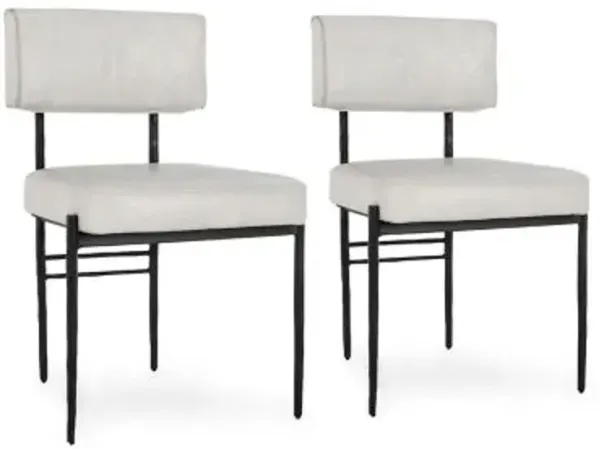 Kester Dining Chair, Set of 2