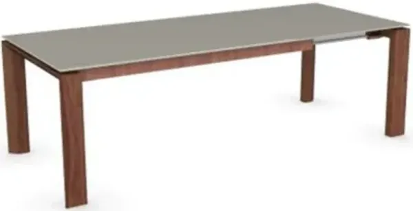 Omnia Glass Extension Table