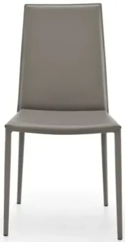 Taupe / Smooth color