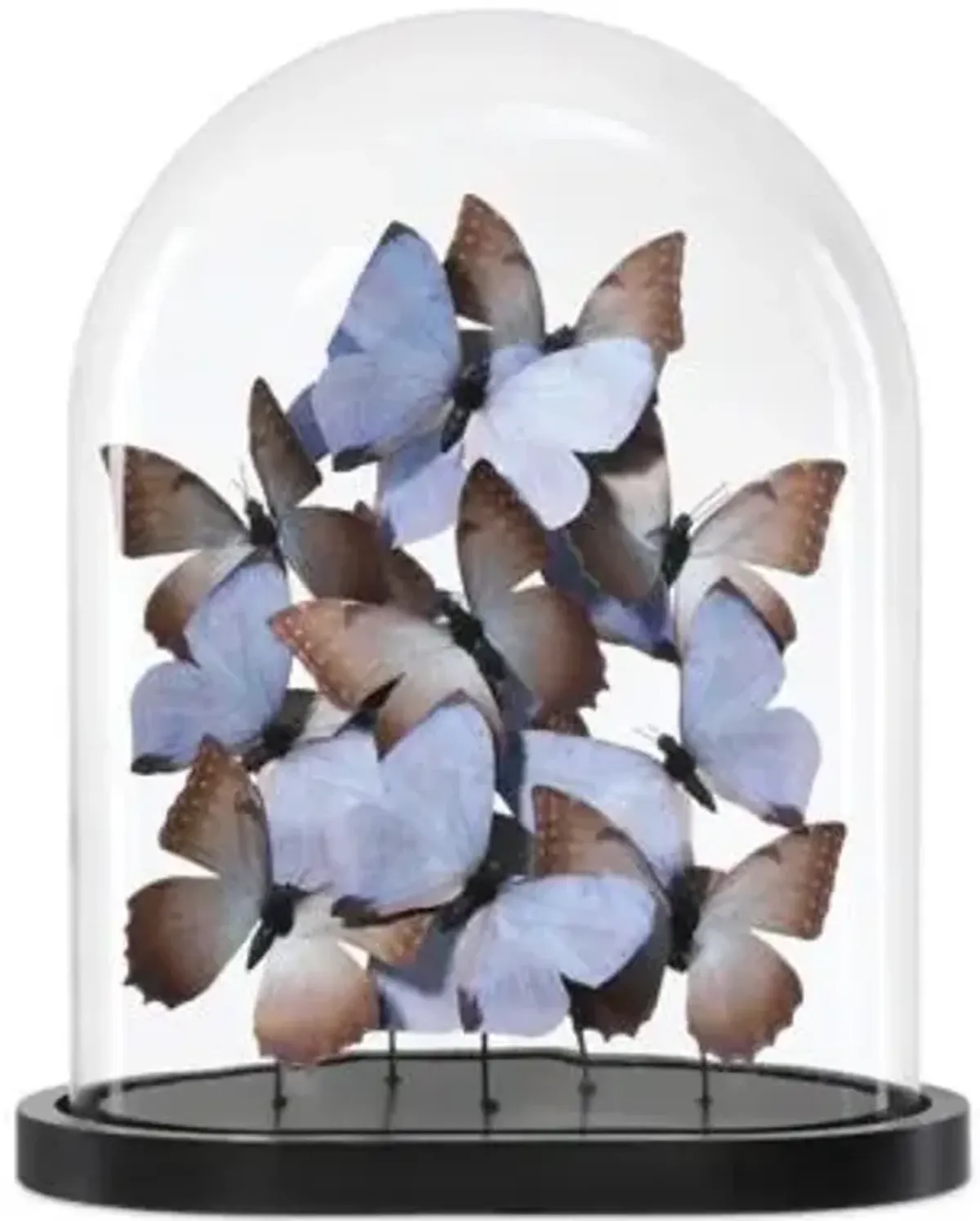 Rue de Bac Lilac Butterflies