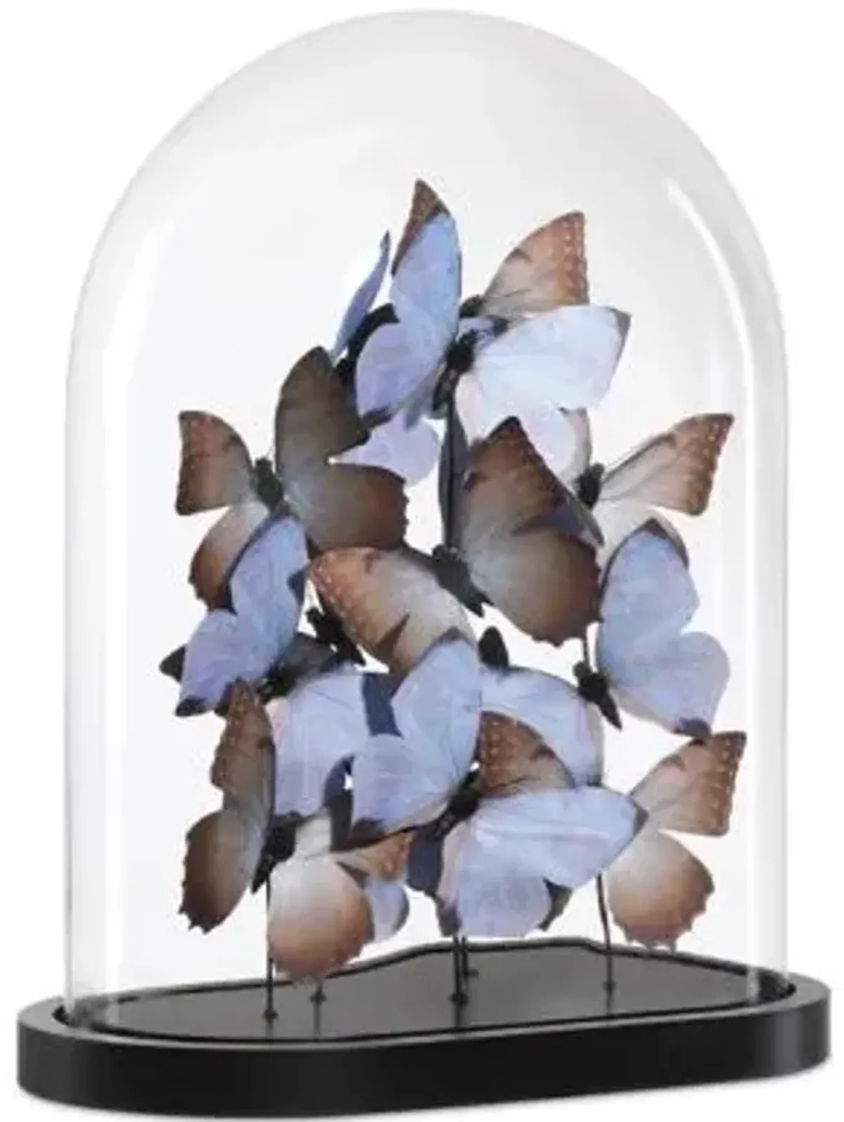 Rue de Bac Lilac Butterflies