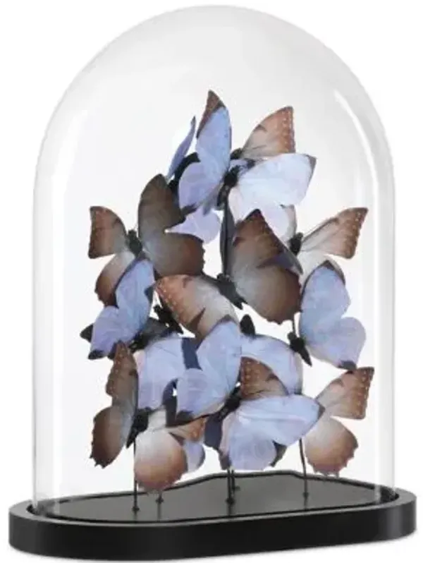 Rue de Bac Lilac Butterflies