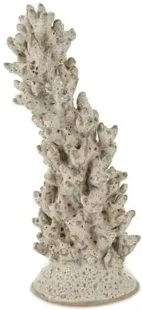 Staghorn Coral Object