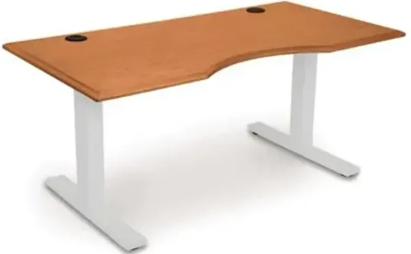 Invigo Ergonomic Sit-Stand Desk