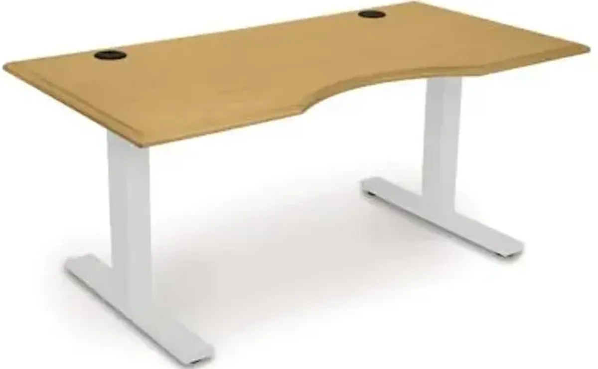 Invigo Ergonomic Sit-Stand Desk