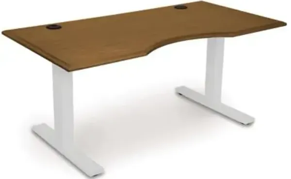 Invigo Ergonomic Sit-Stand Desk