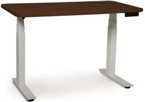 Invigo Sit-Stand Desk