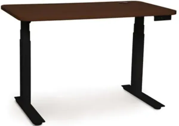 Invigo Sit-Stand Desk