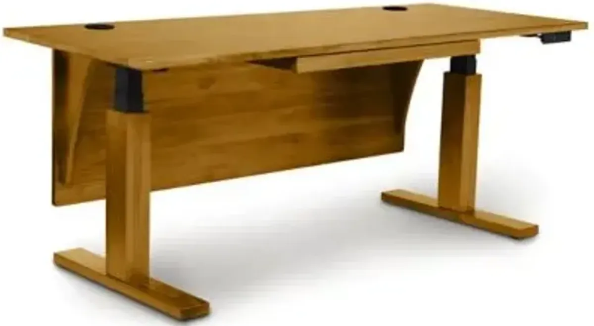 Invigo Sit-Stand Desk with Modesty Panel