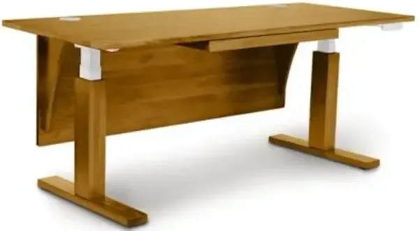 Invigo Sit-Stand Desk with Modesty Panel