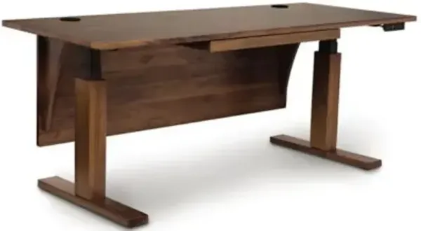 Invigo Sit-Stand Desk with Modesty Panel