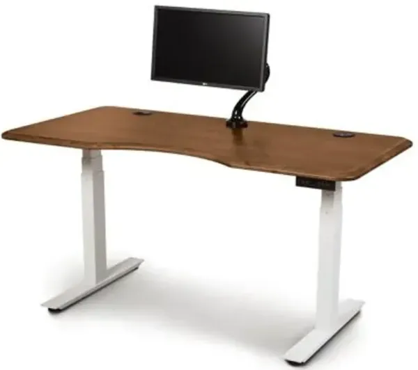 Invigo Ergonomic Sit-Stand Desk with Monitor Arm